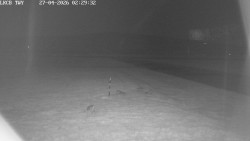 Pojezdová dráha, Runway