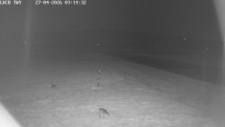 Pojezdová dráha, Runway