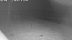 Pojezdová dráha, Runway