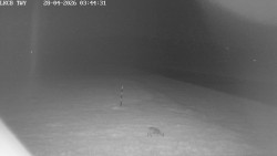 Pojezdová dráha, Runway