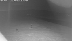 Pojezdová dráha, Runway