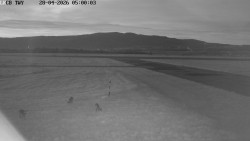 Pojezdová dráha, Runway