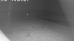 Pojezdová dráha, Runway