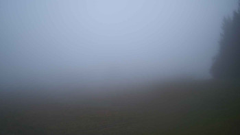 Snímek    3.11.2025 v 07:00