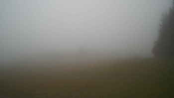 Snímek    3.11.2025 v 07:30