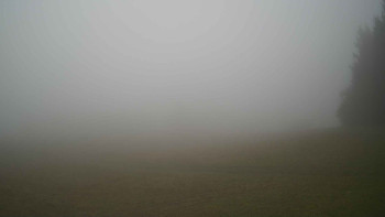 Snímek    4.11.2025 v 11:30