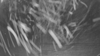 Snímek 8.11.2025 v 20:30