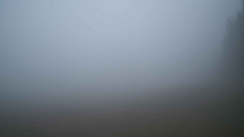 Snímek 17.11.2025 v 07:15