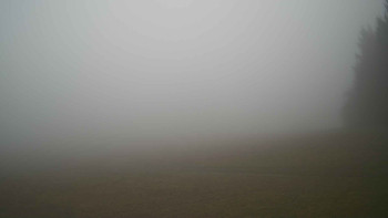 Snímek 17.11.2025 v 08:15