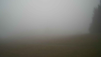 Snímek 17.11.2025 v 11:45