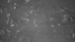 Pohled na sever, Krkonoše