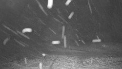 Pohled na sever, Krkonoše