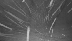 Pohled na sever, Krkonoše