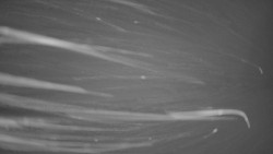 Pohled na sever, Krkonoše