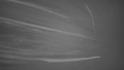 Pohled na sever, Krkonoše