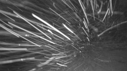 Pohled na sever, Krkonoše