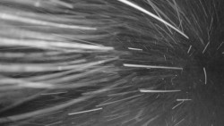 Pohled na sever, Krkonoše