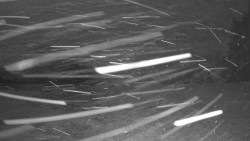 Pohled na sever, Krkonoše