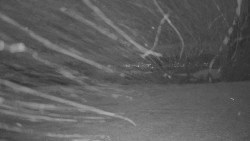 Pohled na sever, Krkonoše