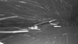 Pohled na sever, Krkonoše