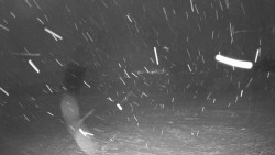 Pohled na sever, Krkonoše