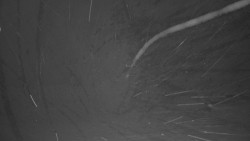 Pohled na sever, Krkonoše