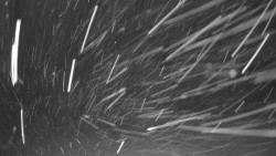 Pohled na sever, Krkonoše