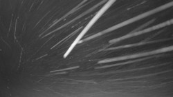 Pohled na sever, Krkonoše