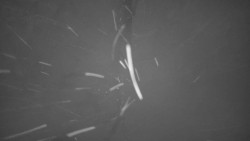 Pohled na sever, Krkonoše