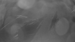 Pohled na sever, Krkonoše