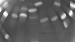 Pohled na sever, Krkonoše