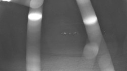 Pohled na sever, Krkonoše