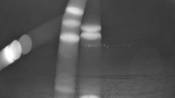 Pohled na sever, Krkonoše