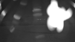 Pohled na sever, Krkonoše