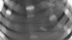 Pohled na sever, Krkonoše