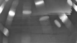 Pohled na sever, Krkonoše