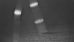 Pohled na sever, Krkonoše