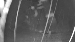 Pohled na sever, Krkonoše