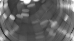 Pohled na sever, Krkonoše