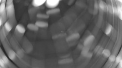 Pohled na sever, Krkonoše