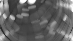 Pohled na sever, Krkonoše