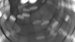 Pohled na sever, Krkonoše