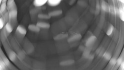 Pohled na sever, Krkonoše