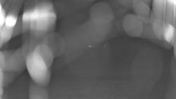 Pohled na sever, Krkonoše