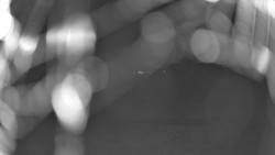 Pohled na sever, Krkonoše