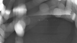 Pohled na sever, Krkonoše