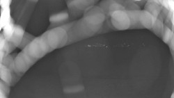 Pohled na sever, Krkonoše