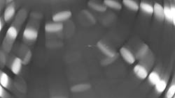 Pohled na sever, Krkonoše