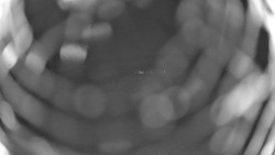 Pohled na sever, Krkonoše