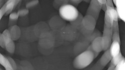 Pohled na sever, Krkonoše